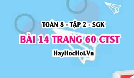 Bài 14 trang 60 Toán 8 Tập 2 Chân trời sáng tạo